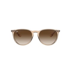 RAY BAN - Lentes de Sol Erika Light Brown