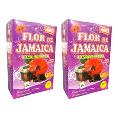 GENERICO - 2 Té Flor De Jamaica - Hibisco - 200 bolsitas filtrantes